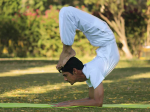 Outdoors & Wellness