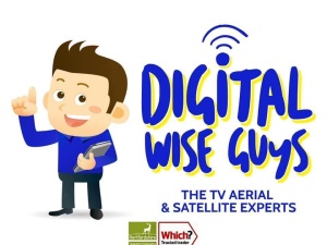 Digital Wise Guys